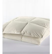 Box-Stitch Goose Down Comforter, Warmer