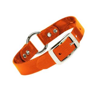 Waterproof Collar: Collars and Leads at L.L.Bean