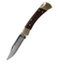 Buck 110 Folding Hunter's Knife Package