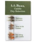 Six-Pack Fly Selection, Caddis Dry Flies