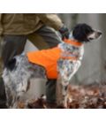 Dog Safety Vest