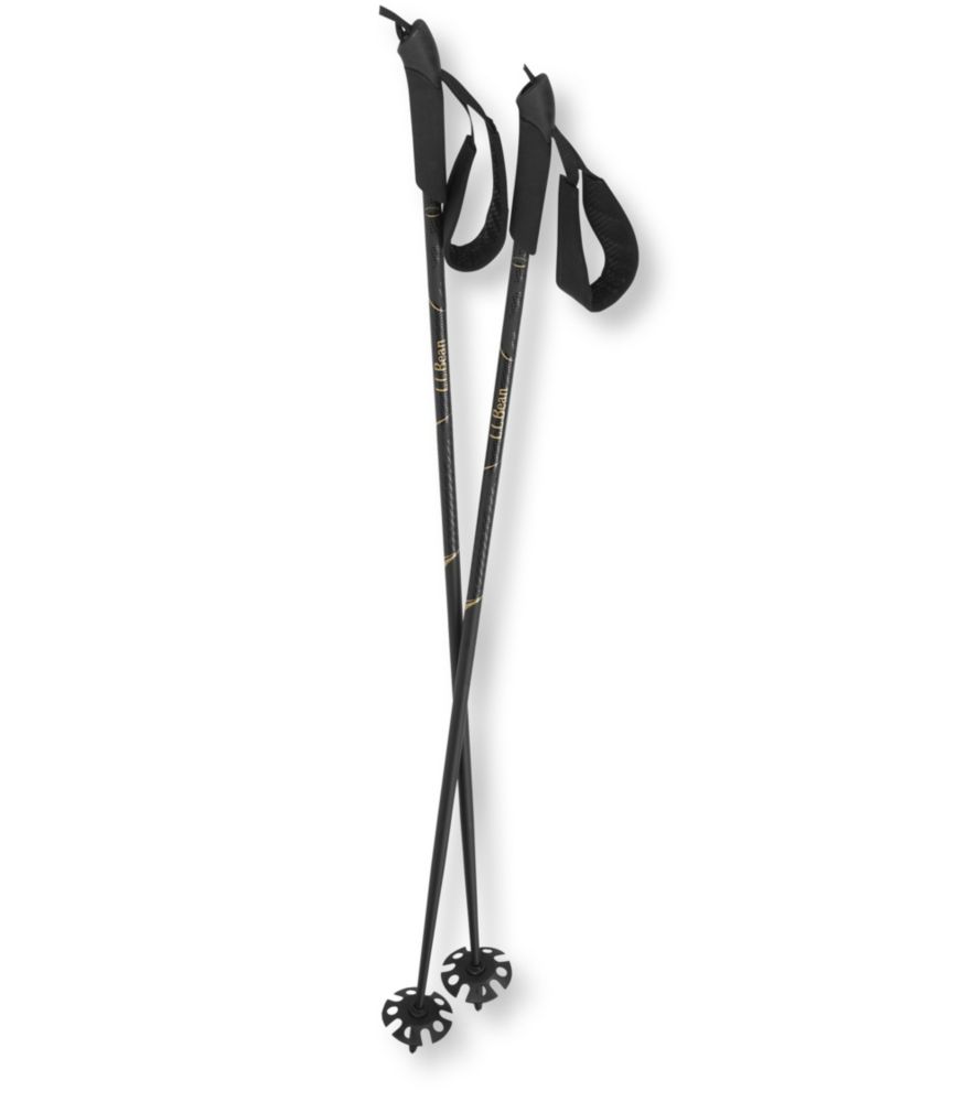 L.L. Bean Backcountry Touring Poles