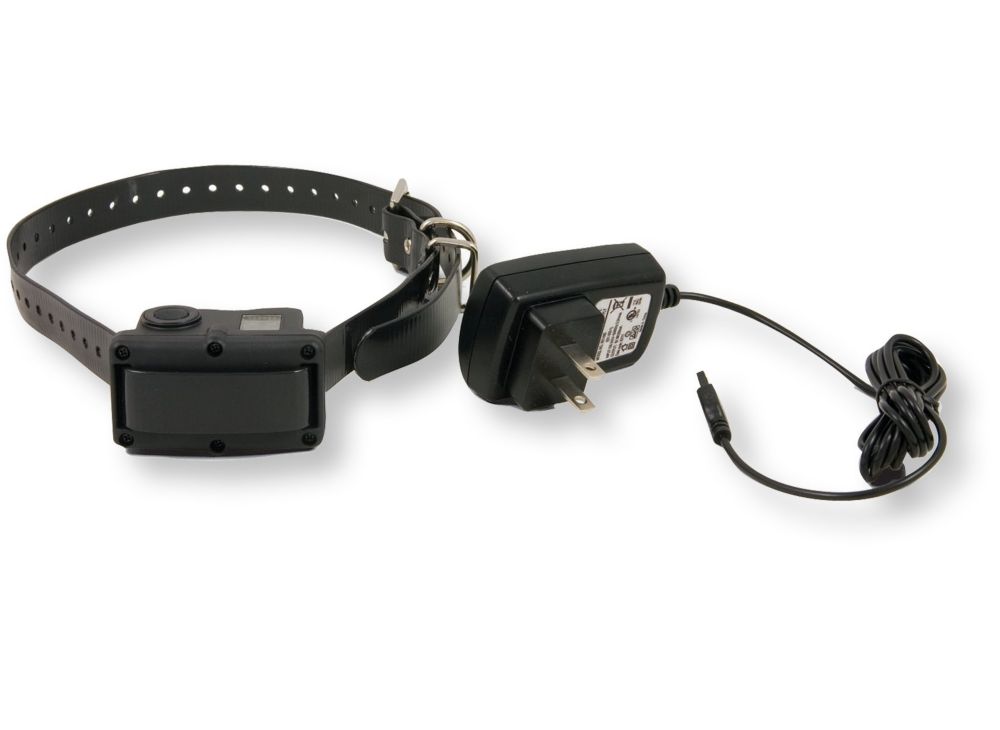 SportDOG? NoBark 10 R Training Collar