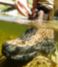 Additional View Thumbnail 5, view 6 of 6
