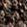 Brown, �J���[ �I�v�V����2����2