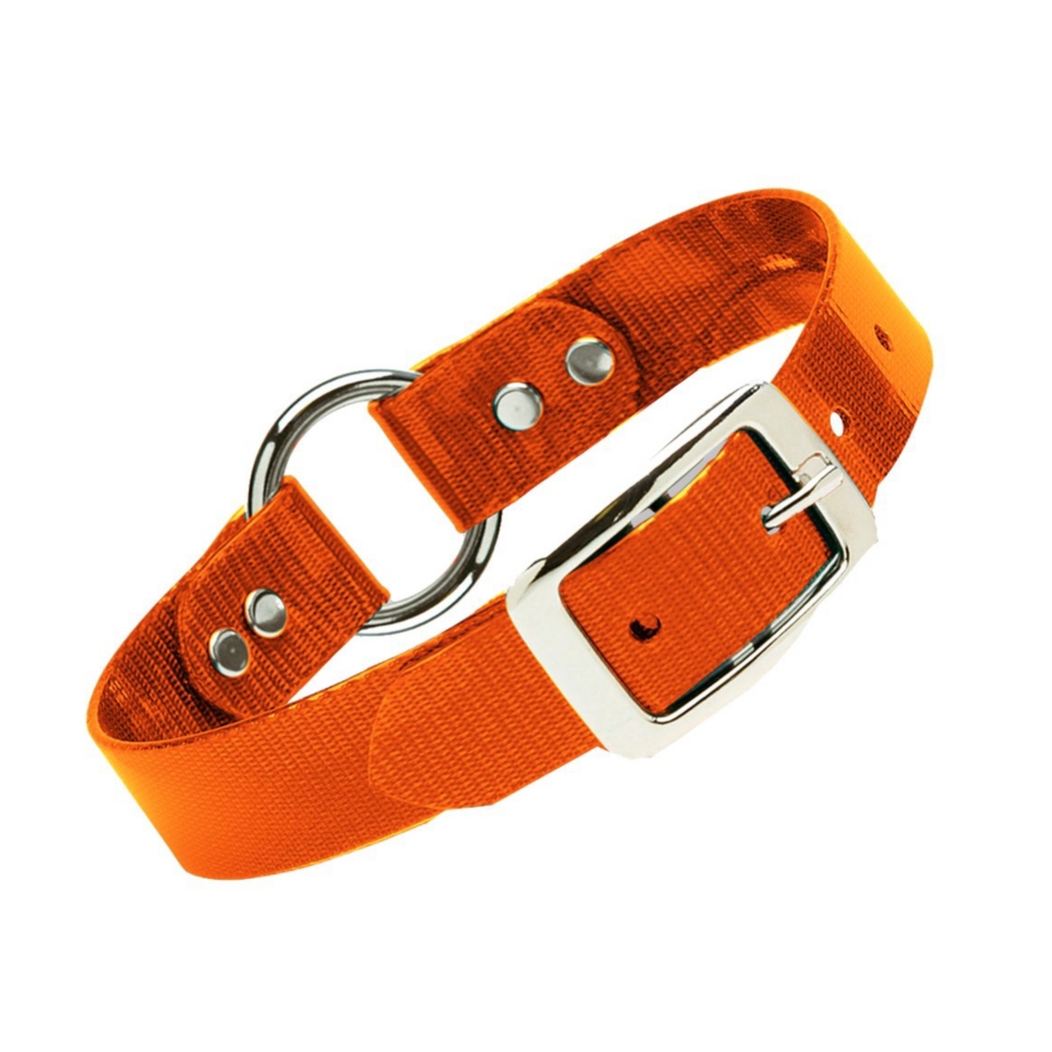 Durable Dog Collars and Dog Leashes   at L.L.Bean